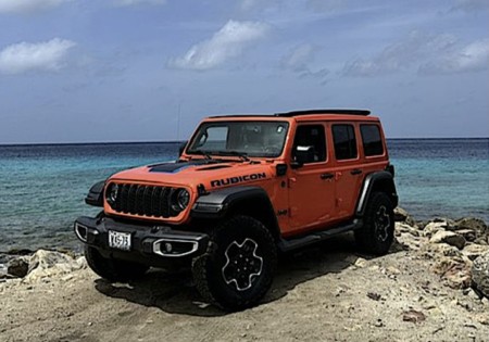 JEEP WRANGLERS ASSORTIMENT